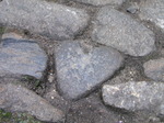 SX09111 Giant's hart turned into stone.jpg